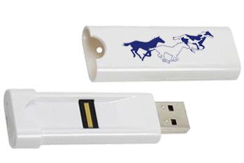Fingerprint USB Flash Drive - Style BM III