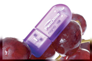 Cartoon USB Flash Drives:Fruity Grape