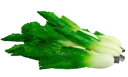 Cabbage usb flash drive