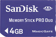 Sandisk Standard 4GB Memory Stick PRO Duo Card