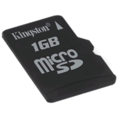 Kingston MicroSD Card 1GB