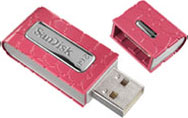 SanDisk Cruzer Gator 2GB USB Flash Drive