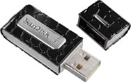 SanDisk Cruzer Gator 8GB USB Flash Drive