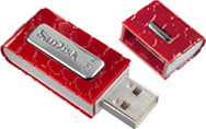 SanDisk Cruzer Gator 4GB USB Flash Drive